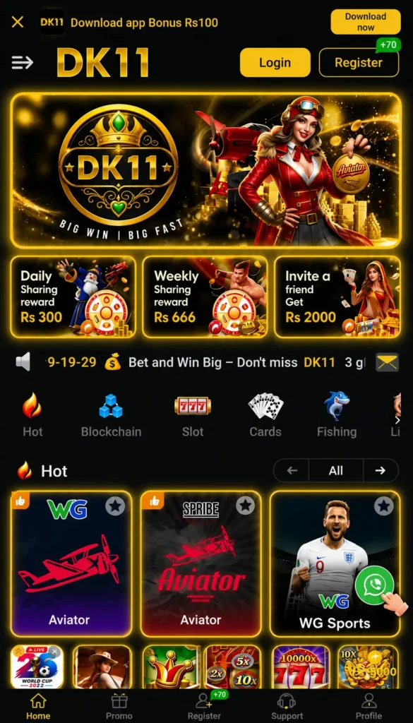 DK11 Game Interface